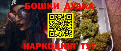 индика Новозыбков
