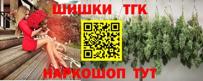 индика Новозыбков