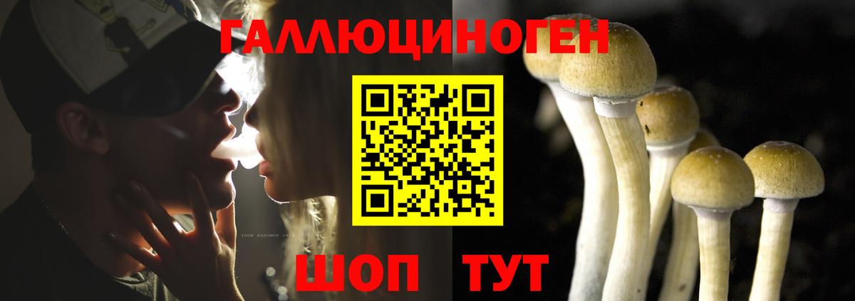 Галлюциногенные грибы мицелий  Вход с VPN  Галлюциногенные грибы прущие грибы  закладки  Белая Калитва 